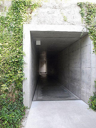 1125mori2.jpg