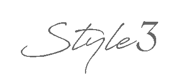 style3.png