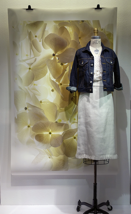 20150226maison1.jpg