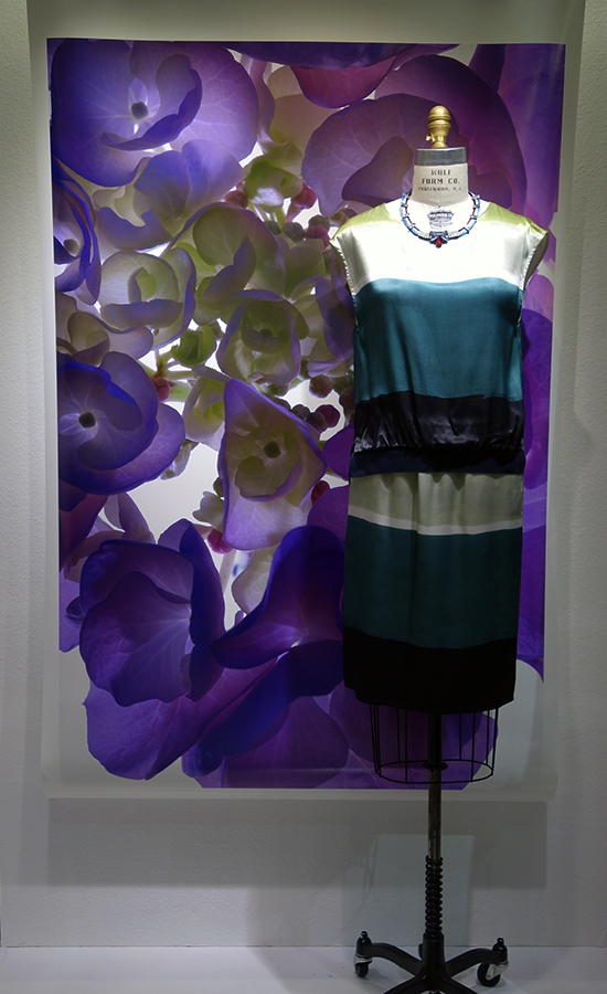 20150226maison2.jpg